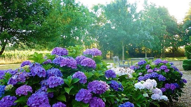 Bed and Breakfast La Veillonnais Angrie Экстерьер фото