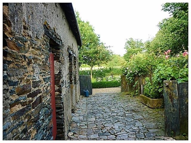 Bed and Breakfast La Veillonnais Angrie Экстерьер фото